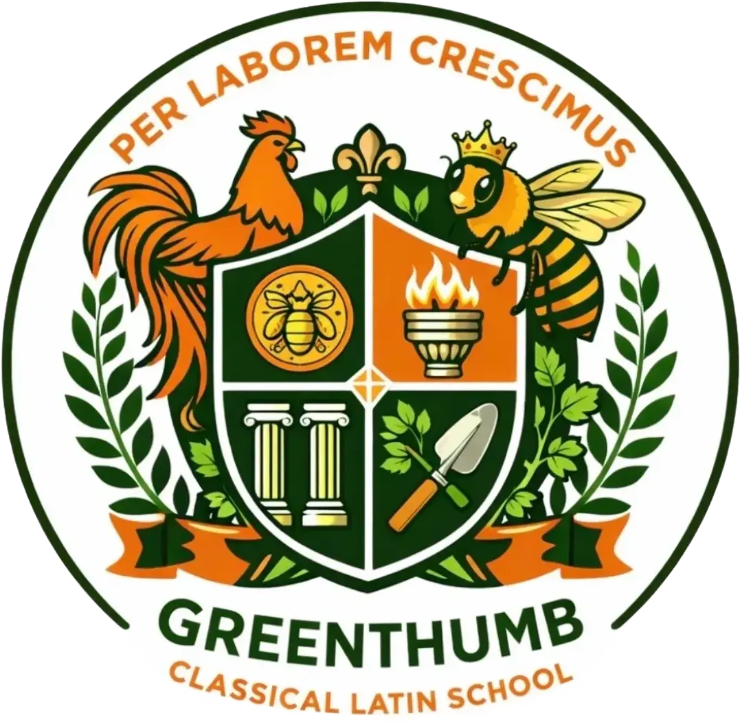 Adobe Express - file